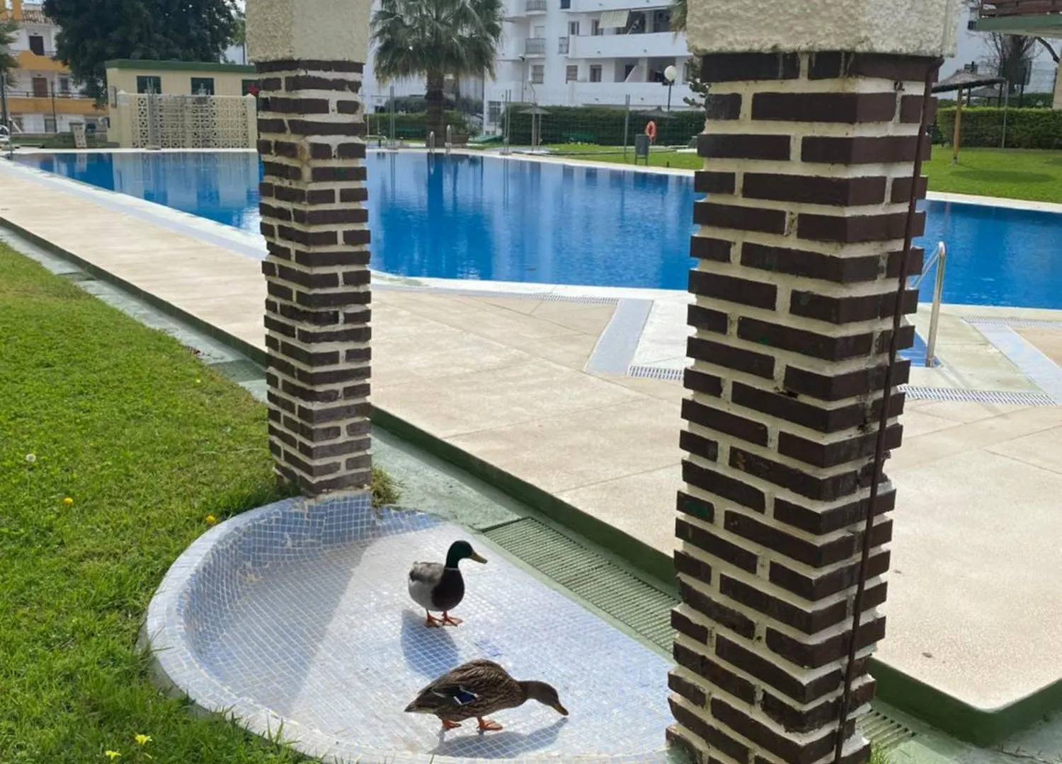 Apartment Apartamentos Naciones Playa, Los Molinillos Benalmadena